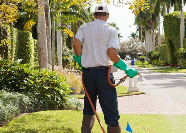 About Baker MT Pest Control